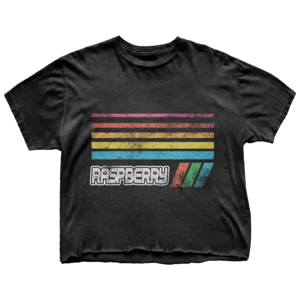 Retro Rainbow Stripe Graphic Tee