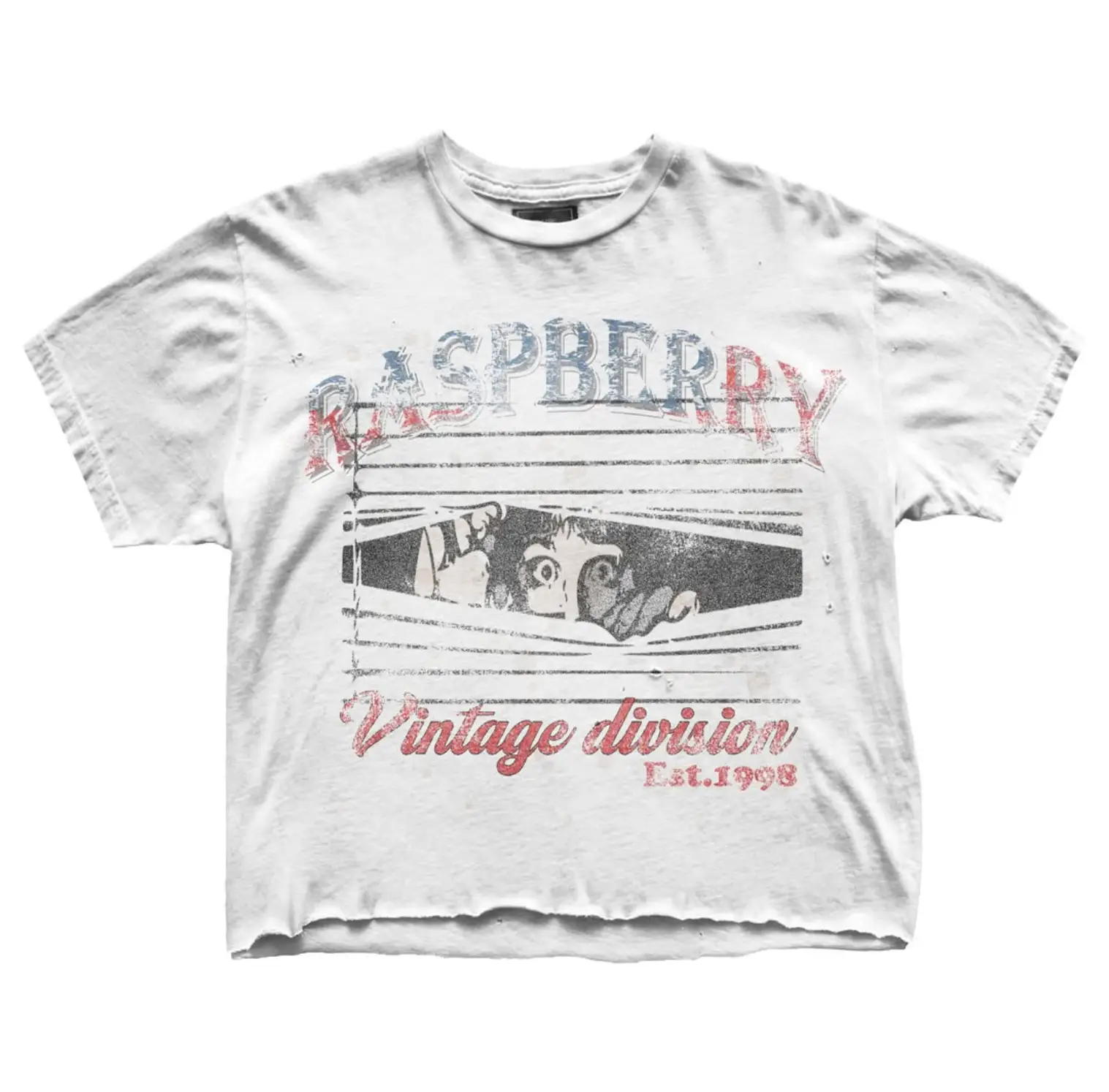 Vintage Division ’98 Graphic Tee Vintage Division ’98 Graphic Tee
