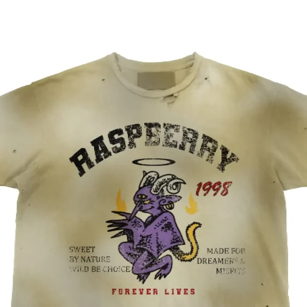 Wild Dreamer Vintage Tee (1)
