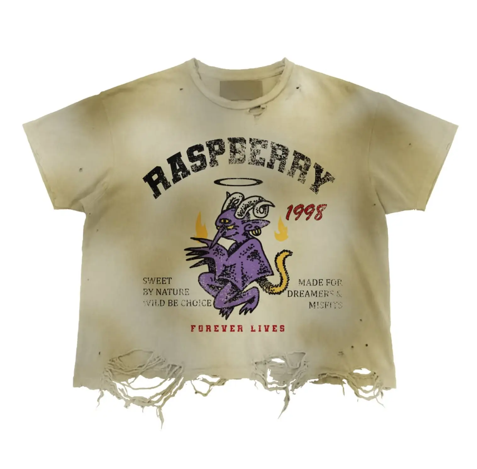 Wild Dreamer Vintage Tee Wild Dreamer Vintage Tee